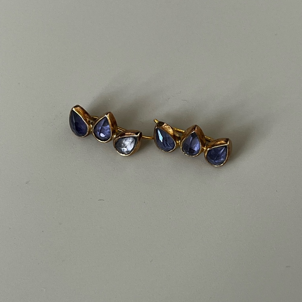 Elegant Gold and purple Earrings